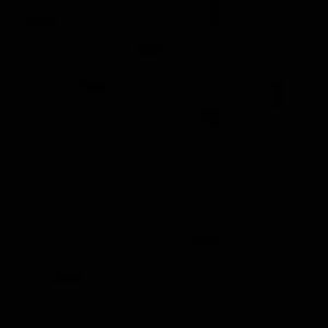 Meet your Posher, Nicolett